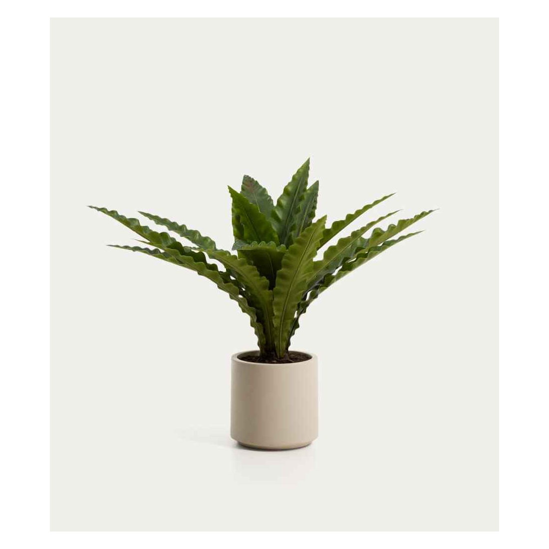 NEOTTOPTERIS umelý kvet