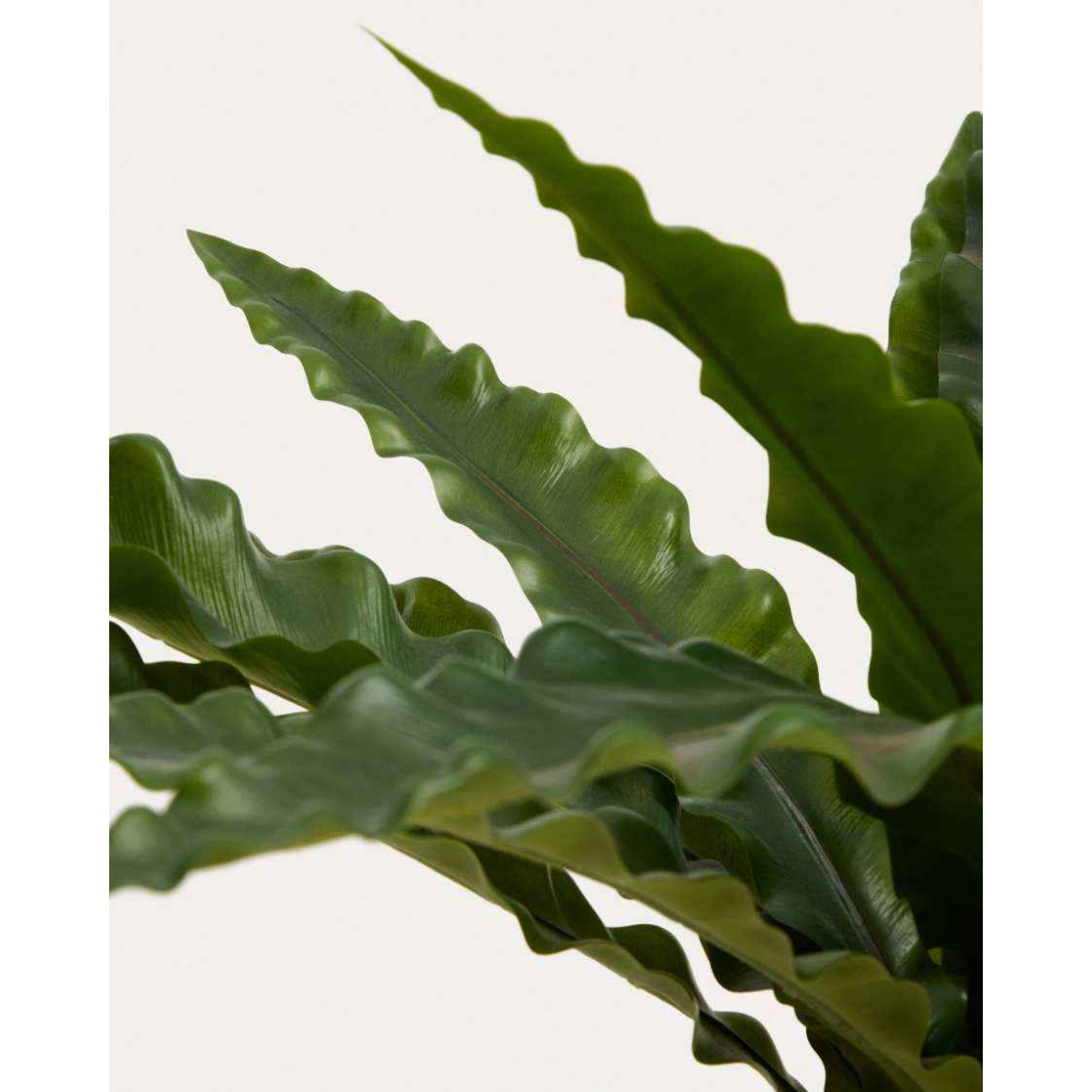 NEOTTOPTERIS umelý kvet 2