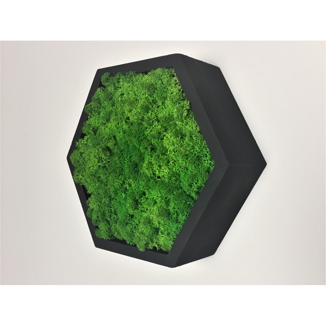 Machový 6-uholník s RAL odtieňom