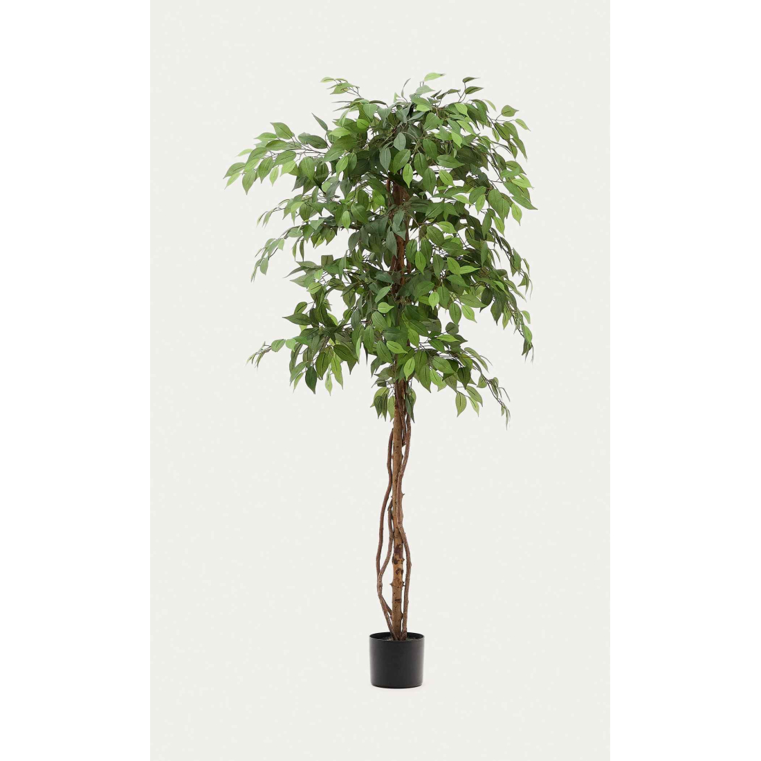 FICUS 180 umelý kvet