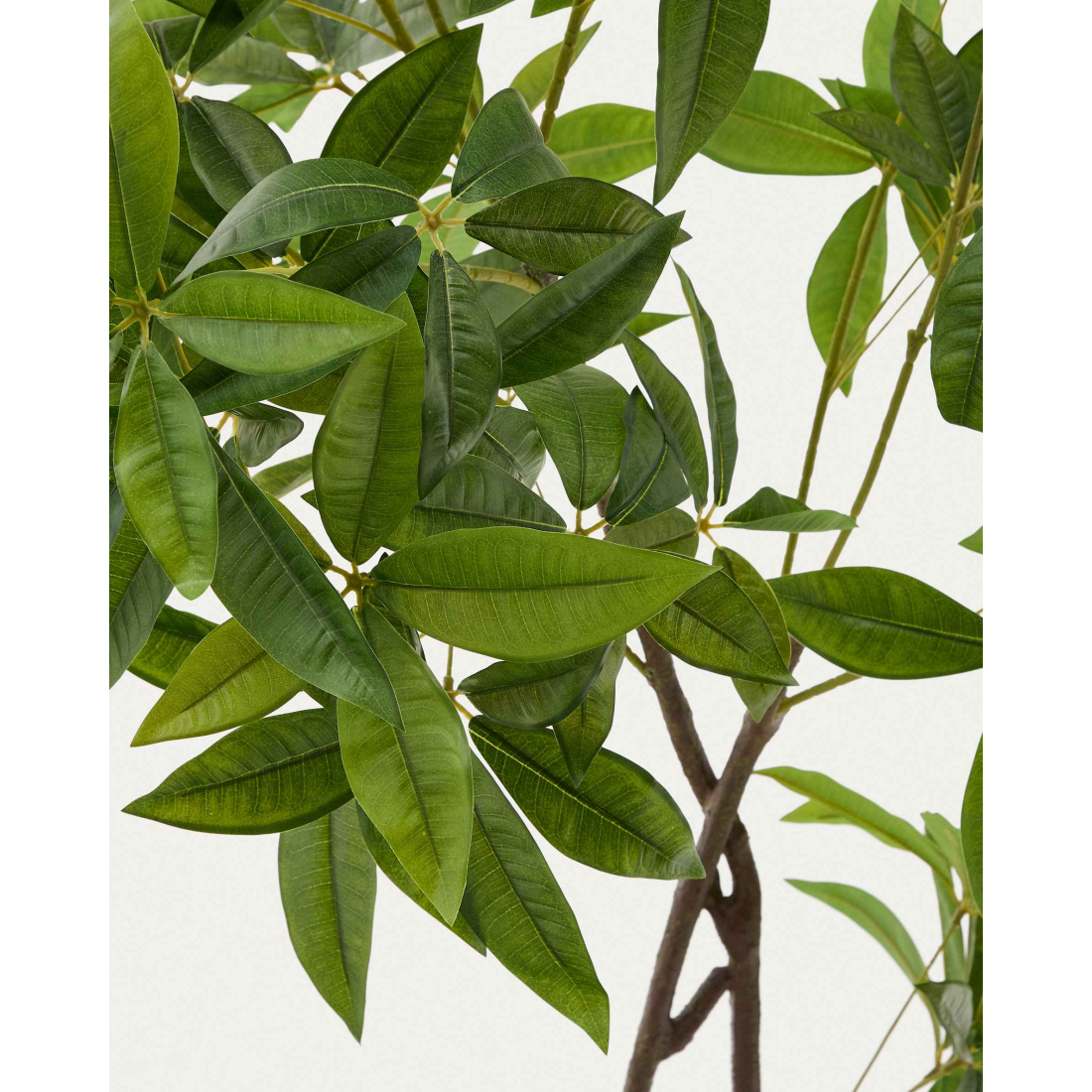 PACHIRA 180 umelý kvet 2