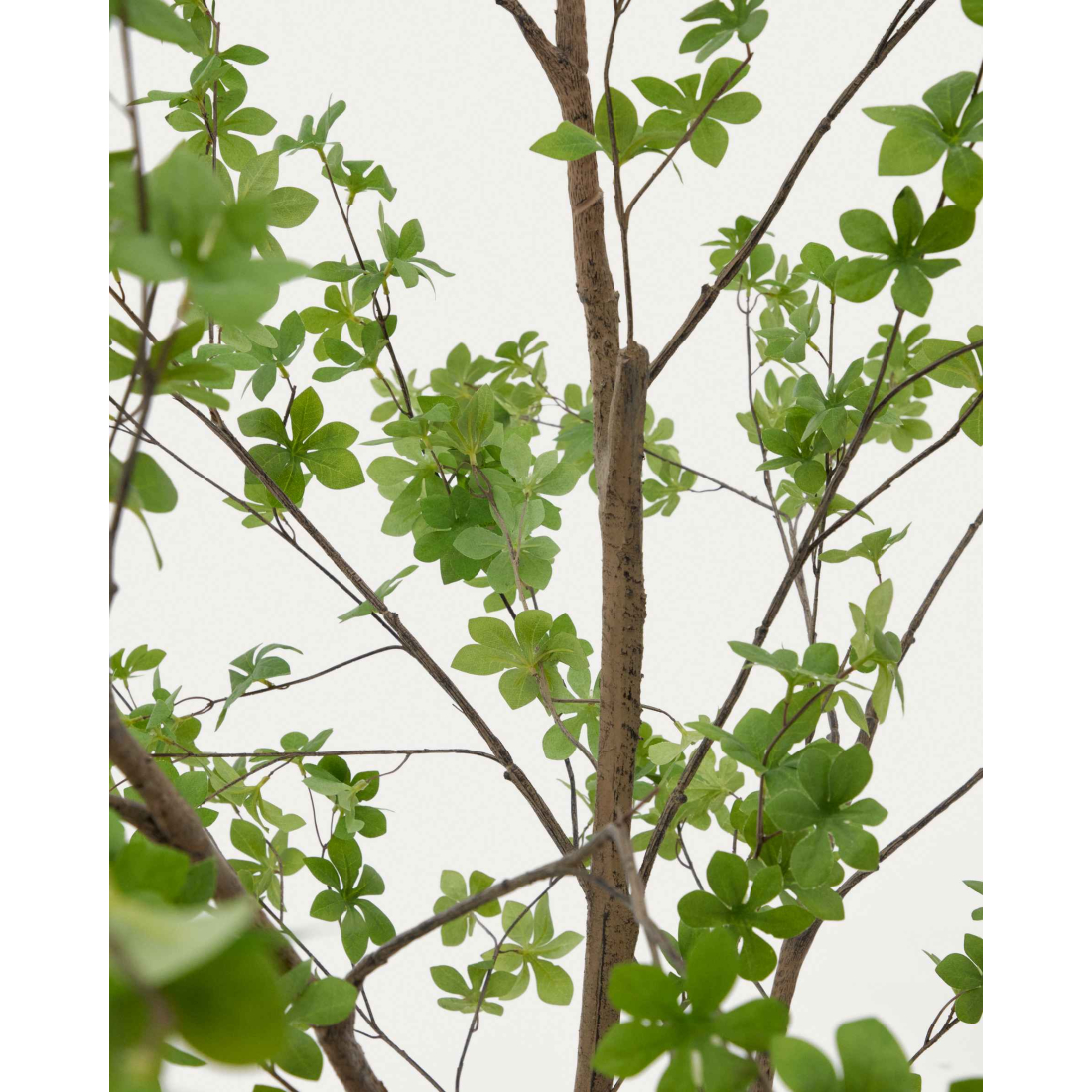 ENKIANTHUS umelý kvet 2